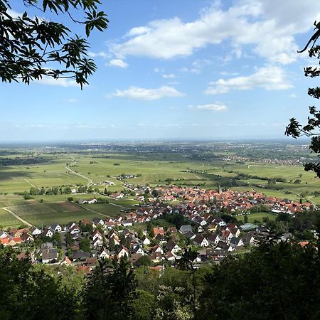 Ferienwohnung Am Ringelsberg Frankweiler Екстериор снимка