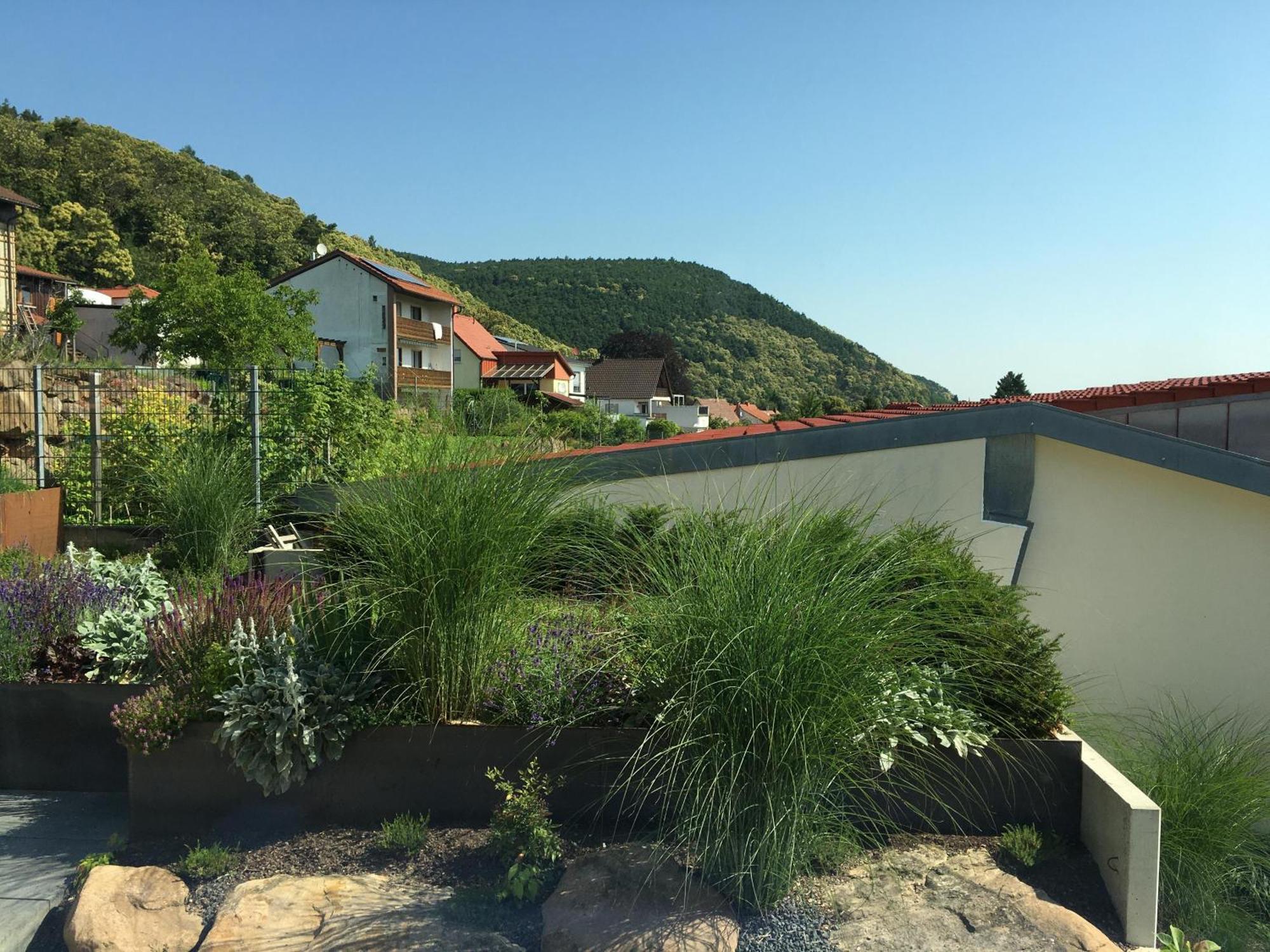 Ferienwohnung Am Ringelsberg Frankweiler Екстериор снимка